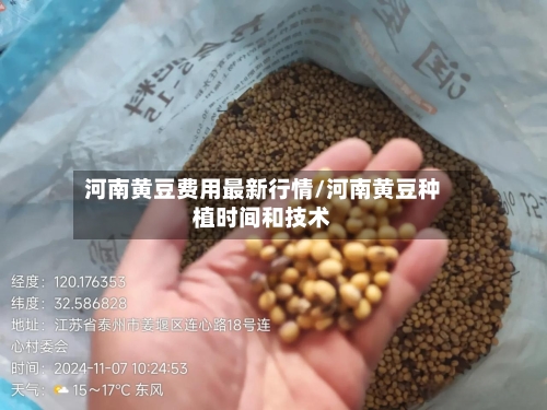 河南黄豆费用最新行情/河南黄豆种植时间和技术-第2张图片
