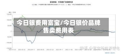 今日银费用富宝/今日银价品牌售卖费用表-第2张图片