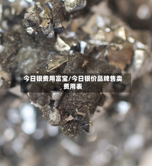 今日银费用富宝/今日银价品牌售卖费用表-第3张图片
