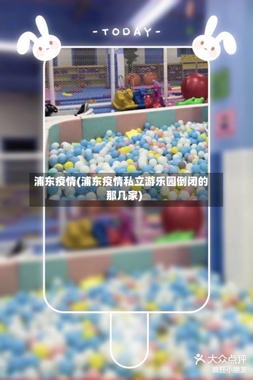 浦东疫情(浦东疫情私立游乐园倒闭的那几家)