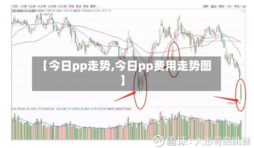 【今日pp走势,今日pp费用走势图】-第2张图片