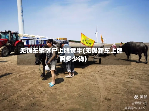 无锡车辆落户上牌黄牛(无锡新车上牌照多少钱)-第2张图片