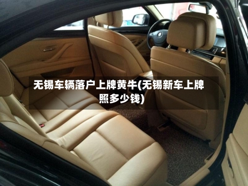 无锡车辆落户上牌黄牛(无锡新车上牌照多少钱)