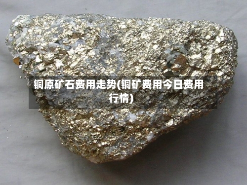 铜原矿石费用走势(铜矿费用今日费用行情)-第2张图片