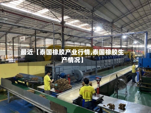 最近【泰国橡胶产业行情,泰国橡胶生产情况】-第3张图片