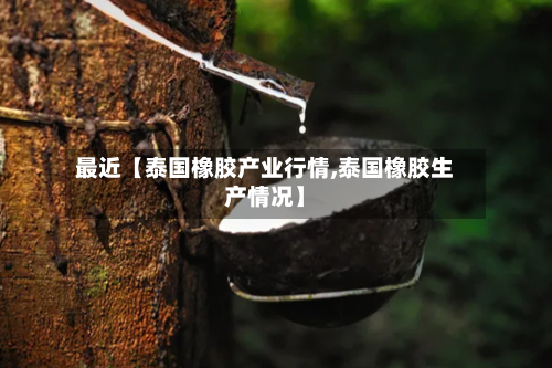最近【泰国橡胶产业行情,泰国橡胶生产情况】-第2张图片