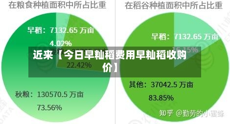 近来【今日早籼稻费用早籼稻收购价】-第3张图片