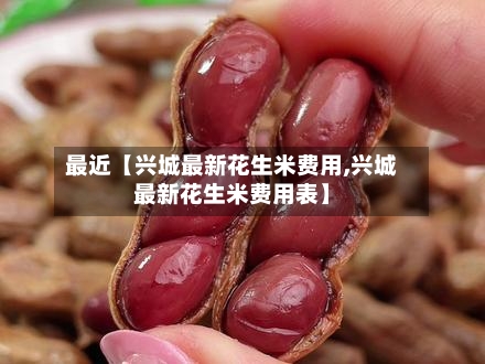 最近【兴城最新花生米费用,兴城最新花生米费用表】
