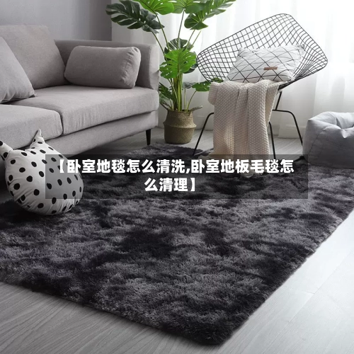 【卧室地毯怎么清洗,卧室地板毛毯怎么清理】-第2张图片