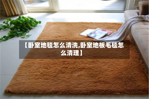 【卧室地毯怎么清洗,卧室地板毛毯怎么清理】-第3张图片