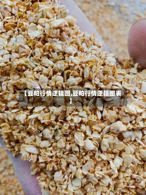 【豆粕行情逻辑图,豆粕行情逻辑图表】-第2张图片