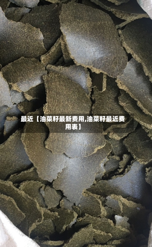 最近【油菜籽最新费用,油菜籽最近费用表】-第3张图片