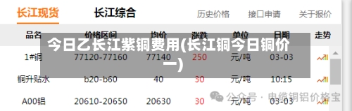 今日乙长江紫铜费用(长江铜今日铜价一)-第2张图片