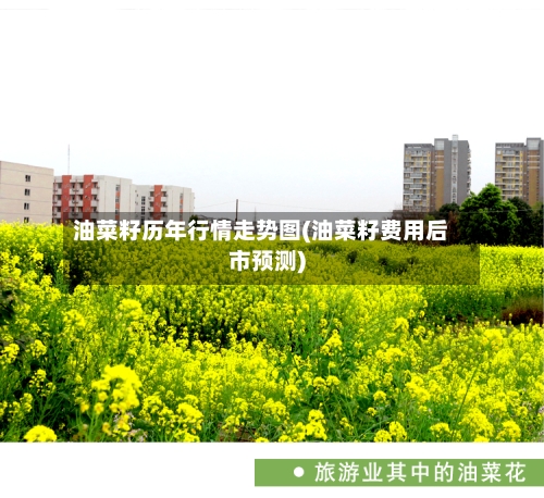 油菜籽历年行情走势图(油菜籽费用后市预测)-第3张图片