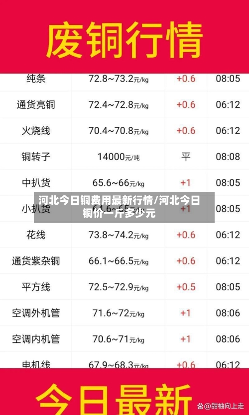 河北今日铜费用最新行情/河北今日铜价一斤多少元-第3张图片