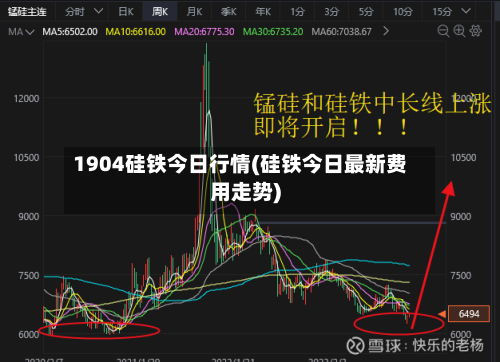 1904硅铁今日行情(硅铁今日最新费用走势)