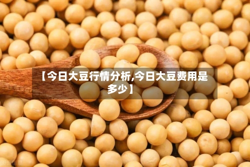 【今日大豆行情分析,今日大豆费用是多少】