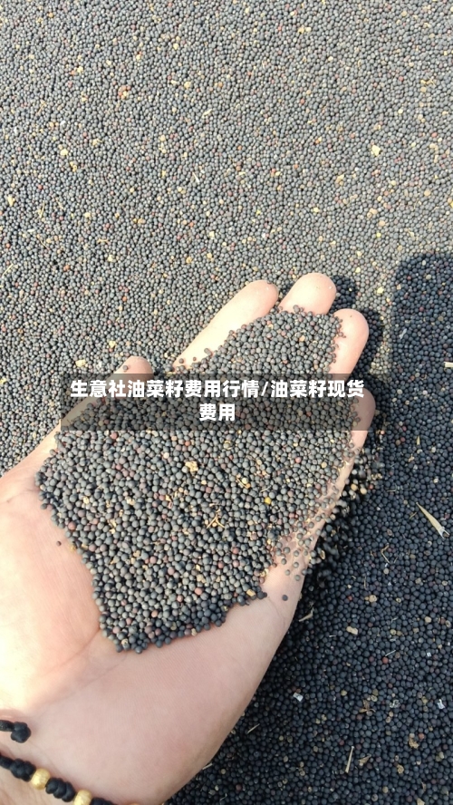生意社油菜籽费用行情/油菜籽现货费用-第2张图片