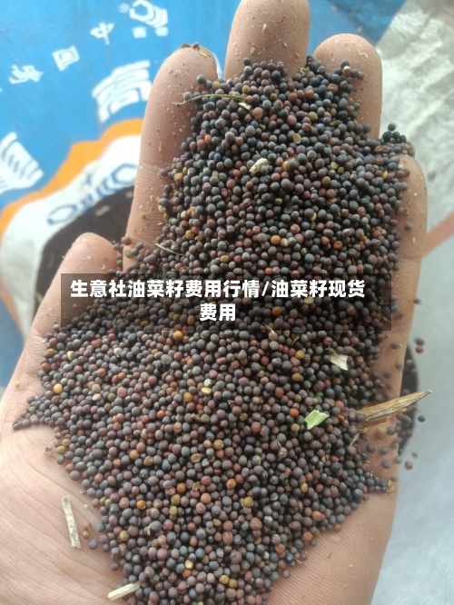 生意社油菜籽费用行情/油菜籽现货费用