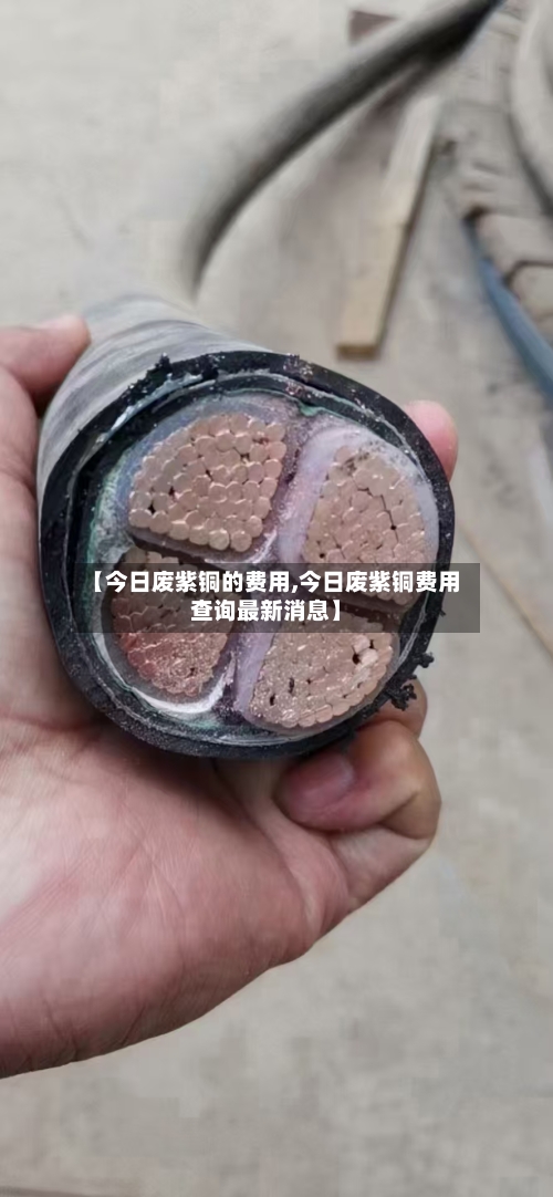 【今日废紫铜的费用,今日废紫铜费用查询最新消息】-第2张图片