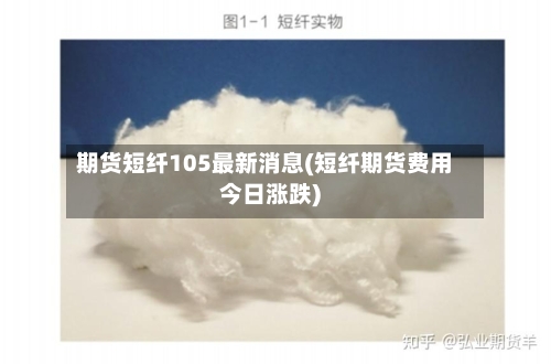 期货短纤105最新消息(短纤期货费用今日涨跌)-第2张图片