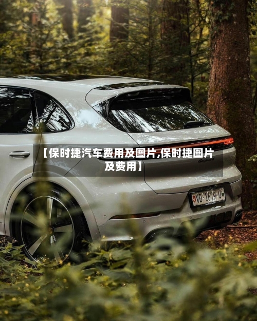 【保时捷汽车费用及图片,保时捷图片及费用】