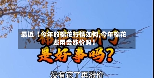 最近【今年的棉花行情如何,今年棉花费用会涨价吗】-第2张图片