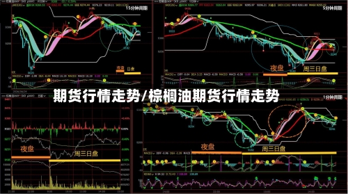 期货行情走势/棕榈油期货行情走势-第2张图片