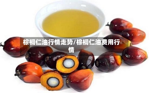 棕榈仁油行情走势/棕榈仁油费用行情