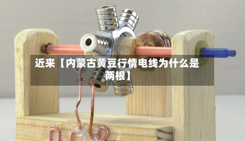 近来【内蒙古黄豆行情电线为什么是两根】
