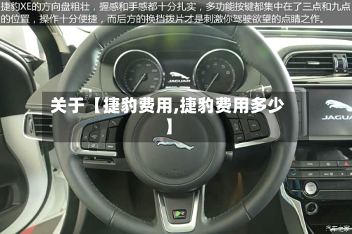 关于【捷豹费用,捷豹费用多少】-第2张图片