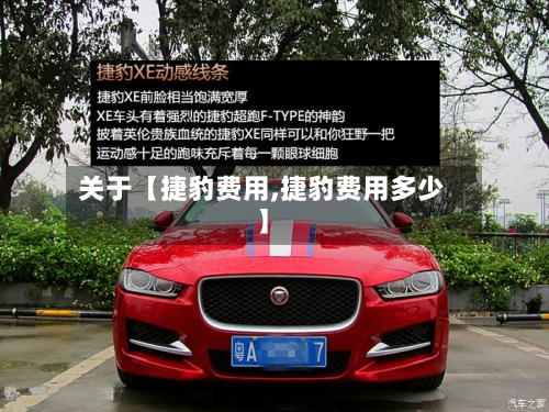 关于【捷豹费用,捷豹费用多少】-第3张图片