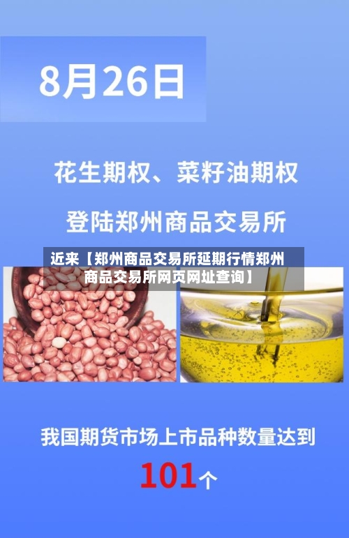 近来【郑州商品交易所延期行情郑州商品交易所网页网址查询】