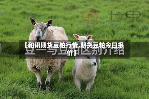 【和讯期货豆粕行情,期货豆粕今日报价】-第2张图片