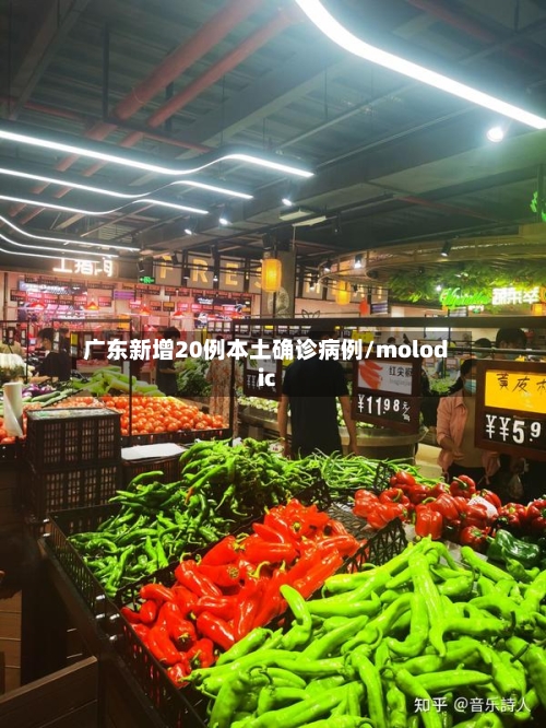 广东新增20例本土确诊病例/molodic