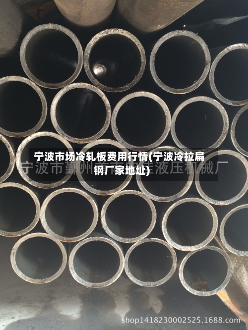 宁波市场冷轧板费用行情(宁波冷拉扁钢厂家地址)