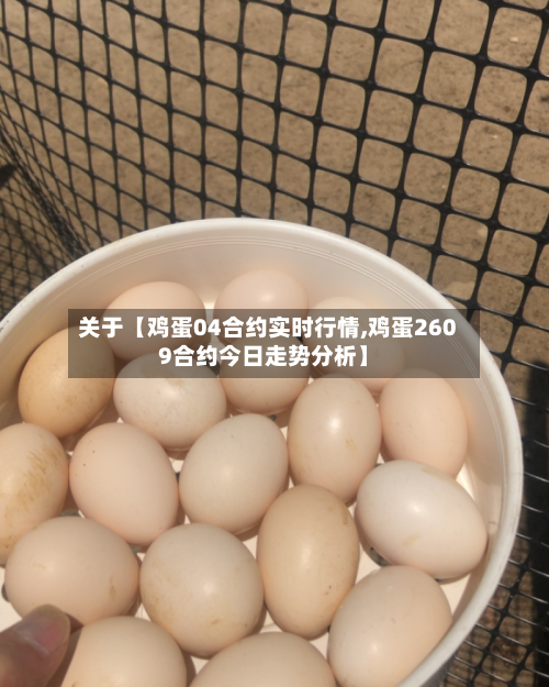 关于【鸡蛋04合约实时行情,鸡蛋2609合约今日走势分析】
