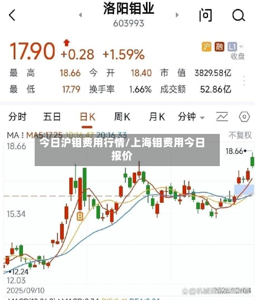 今日沪钼费用行情/上海钼费用今日报价