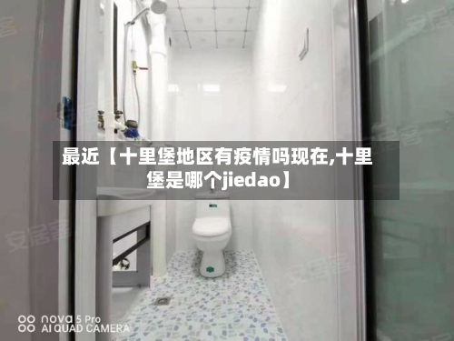 最近【十里堡地区有疫情吗现在,十里堡是哪个jiedao】