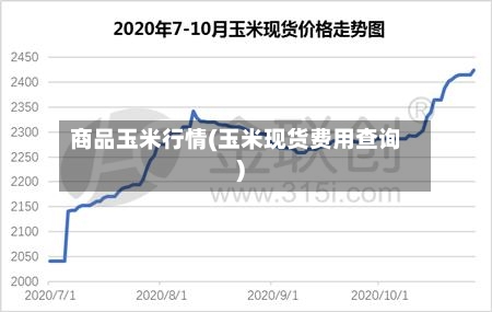商品玉米行情(玉米现货费用查询)