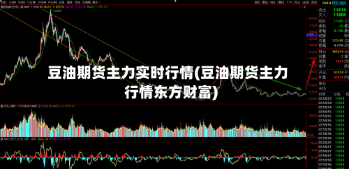 豆油期货主力实时行情(豆油期货主力行情东方财富)