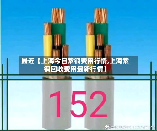 最近【上海今日紫铜费用行情,上海紫铜回收费用最新行情】-第2张图片
