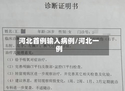 河北首例输入病例/河北一例-第2张图片