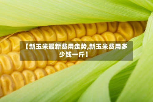 【新玉米最新费用走势,新玉米费用多少钱一斤】