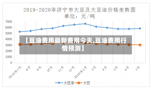 【豆油费用最新费用今天,豆油费用行情预测】