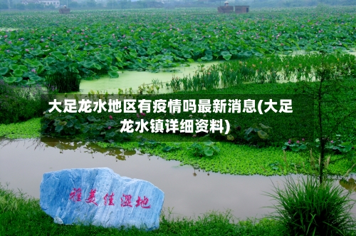 大足龙水地区有疫情吗最新消息(大足龙水镇详细资料)