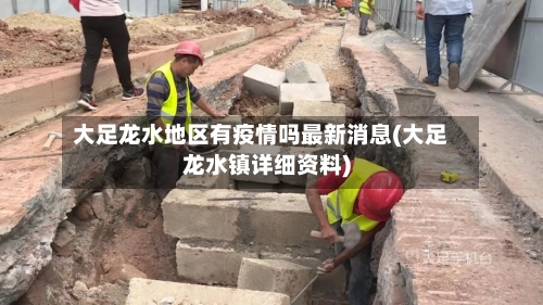 大足龙水地区有疫情吗最新消息(大足龙水镇详细资料)-第3张图片