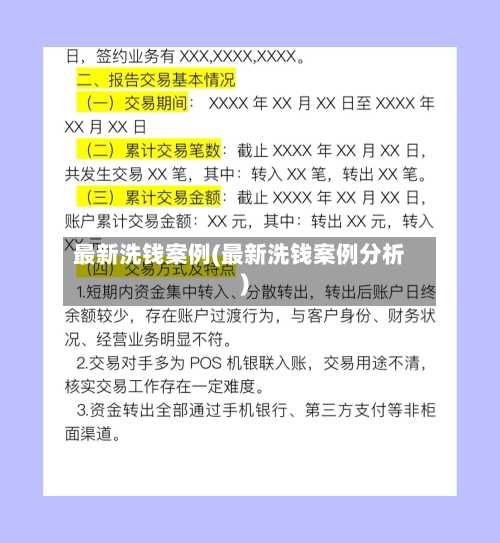 最新洗钱案例(最新洗钱案例分析)-第2张图片