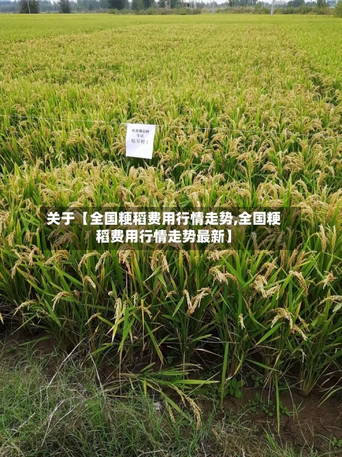关于【全国粳稻费用行情走势,全国粳稻费用行情走势最新】-第3张图片