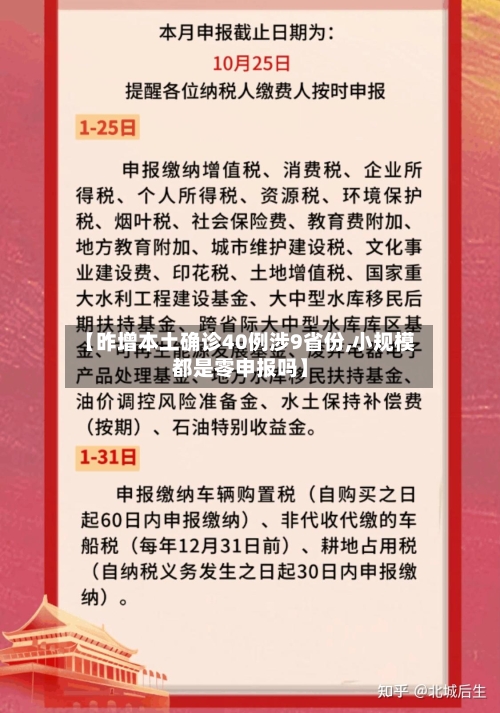 【昨增本土确诊40例涉9省份,小规模都是零申报吗】-第3张图片